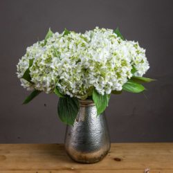 Faux White Lace Cap Hydrangea Flower Stem