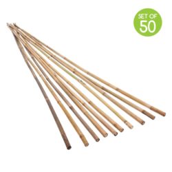 Set of 50 Bamboo Garden Stakes - Available in a Choice of Sizes