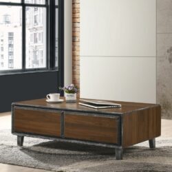 Eithne Modern Dark Wooden Coffee Table with Drawers & Metallic Detail