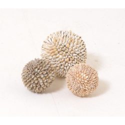 Decorative Natural Shell Ball Ornament - Choice of Sizes