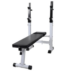 Adjustable Weights Bench in Silver Steel