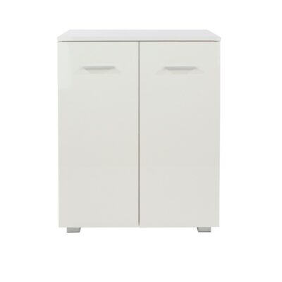 Arctic Gloss White Cupboard with 2 Doors
