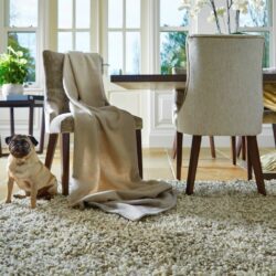 Imogyn Shaggy Beige Rug in Pure Wool - Choice of Sizes