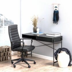 Arcona Minimalist Modern Black Desk in Black Ash