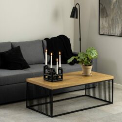 Bourges Modern Wooden Coffee Table with Black Base